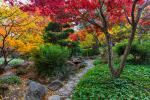 Home and Garden Wallpapers
