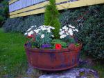 Garden_005