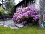 Garden_009