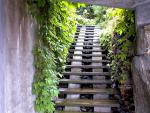 Garden_014