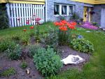 Garden_016
