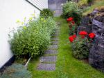 Garden_020