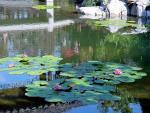 Garden_025