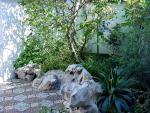 Garden_031