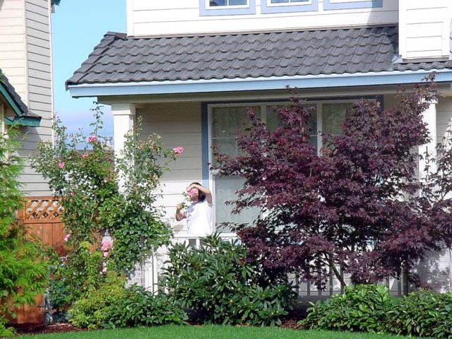 Home_004
