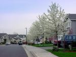 Home_008