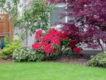 Home_017