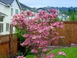 Home_023