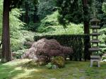 Garden_039