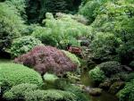 Garden_045