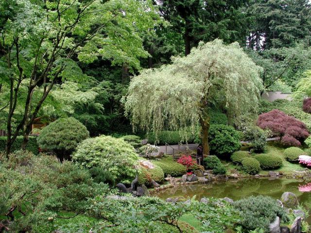 Garden_046