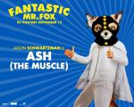 fmf_ash