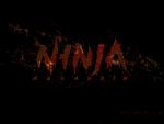 ninja_02