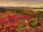 Parks_139