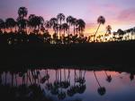Parks_147