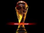 worldcup2010_013