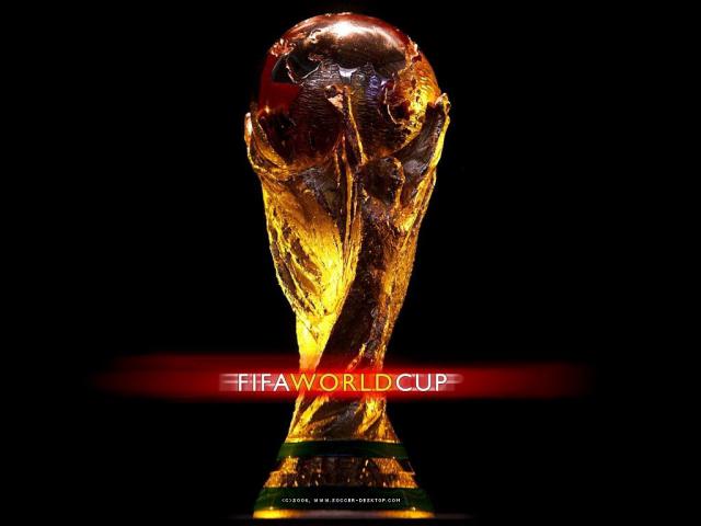 worldcup2010_013