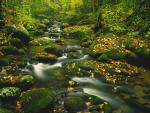 river_098