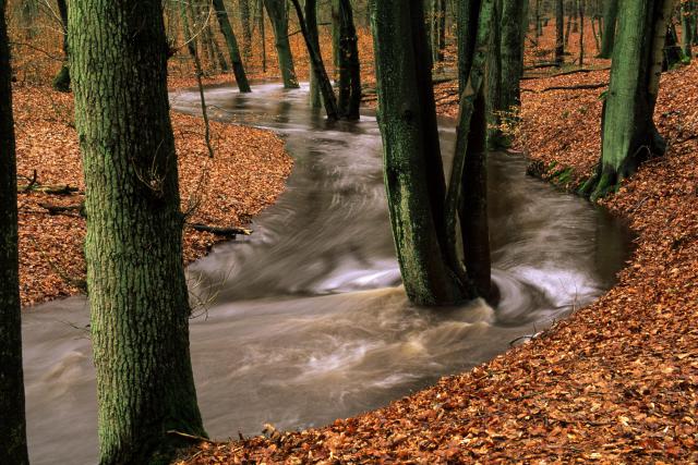 river_101