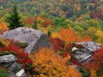mountains_186