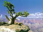 mountains_192