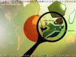 worldcup2010_038