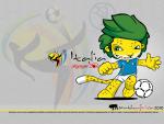 worldcup2010_072