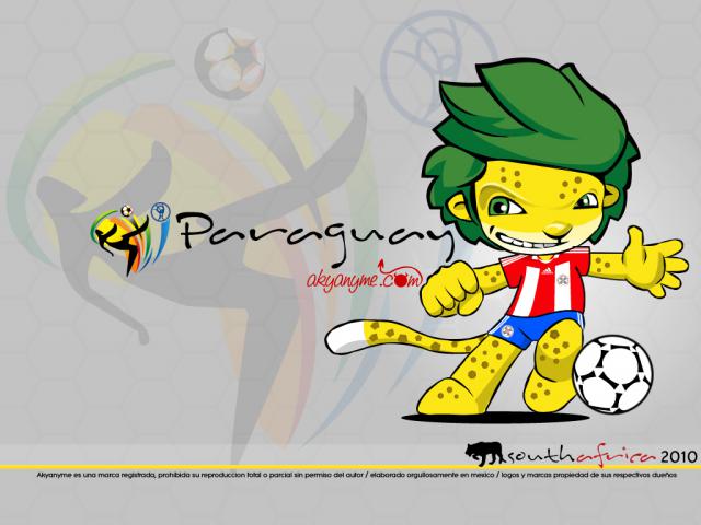worldcup2010_073