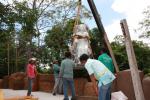 dhamgarden_012