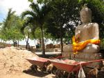 dhamgarden_039