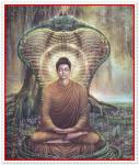 buddha051