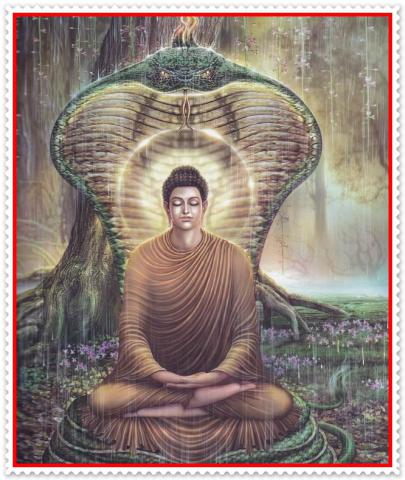 buddha051
