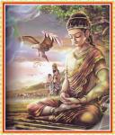 buddha055