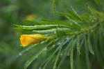 taitong_022