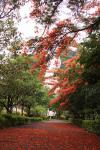 taitong_025