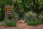 taitong_028