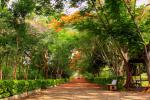 taitong_031