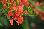 taitong_036