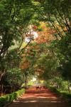 taitong_039
