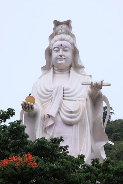 taitong_042
