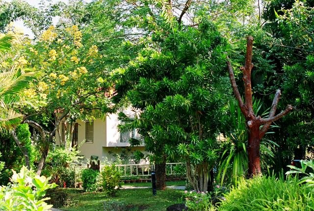 taitong_044