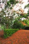 taitong_053