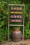 taitong_071
