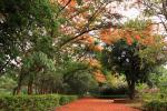 taitong_072