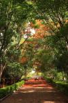 taitong_073