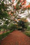 taitong_078