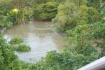 flood_korat_044