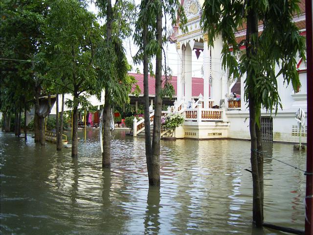 flood_korat_072
