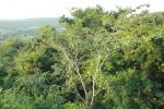 waphukaew10_037