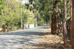waphukaew11_029
